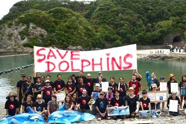 Dolphin Project Team at The Cove Taiji