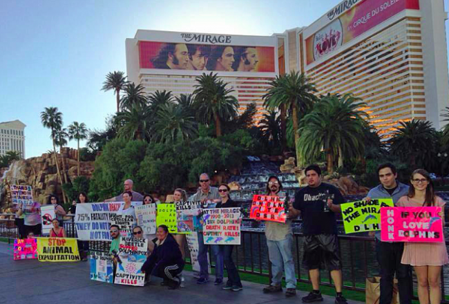 Anti-captivity protest at The Mirage, Las Vegas