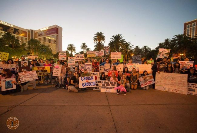 Free the Mojave Dolphins protest