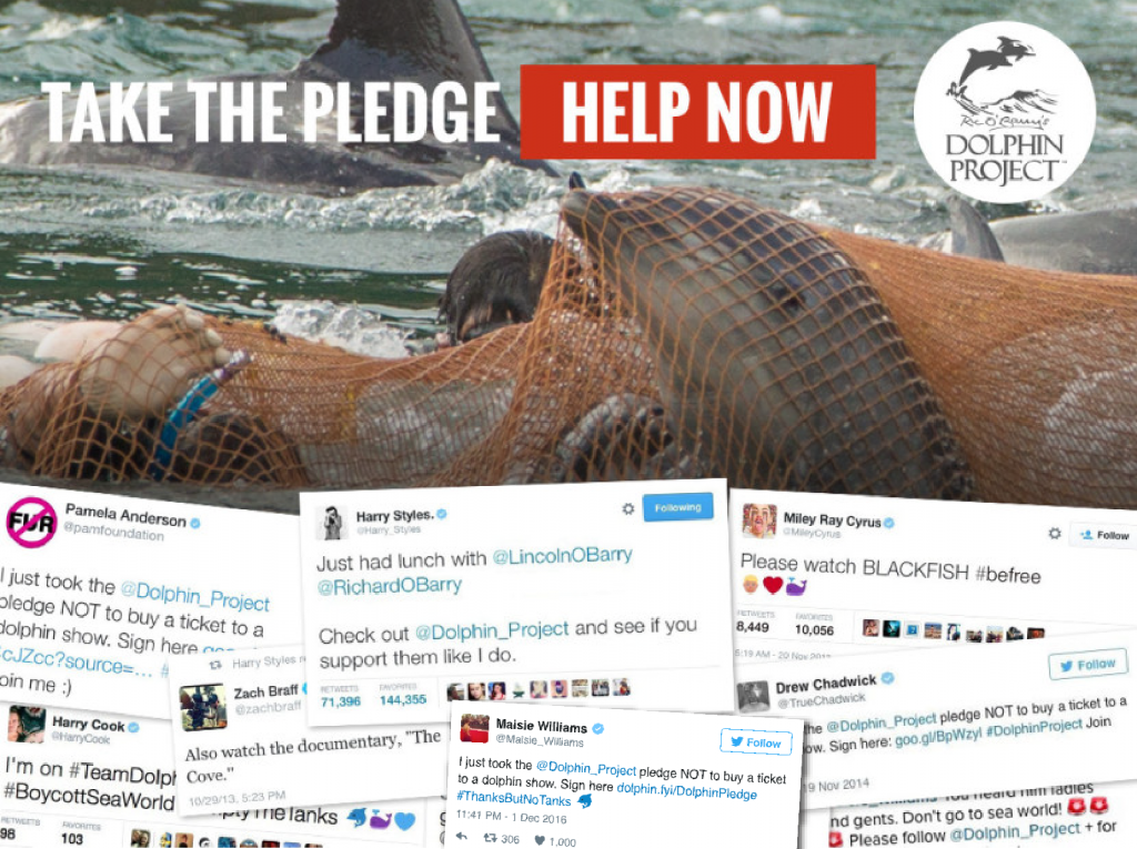 Take the Pledge to NOT buy a ticket to a dolphin show