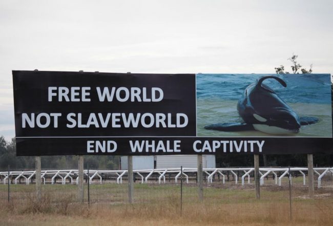 Free World not SeaWorld!