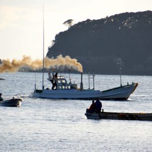 Black smoke puffs out of a banger boat chasing dolphins.
Photo: DolphinProject.net