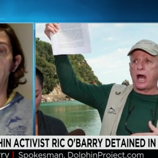 Lincoln O'Barry speaks with CNN International on Ric O'Barry's Ongoing Detention in Tokyo, Japan