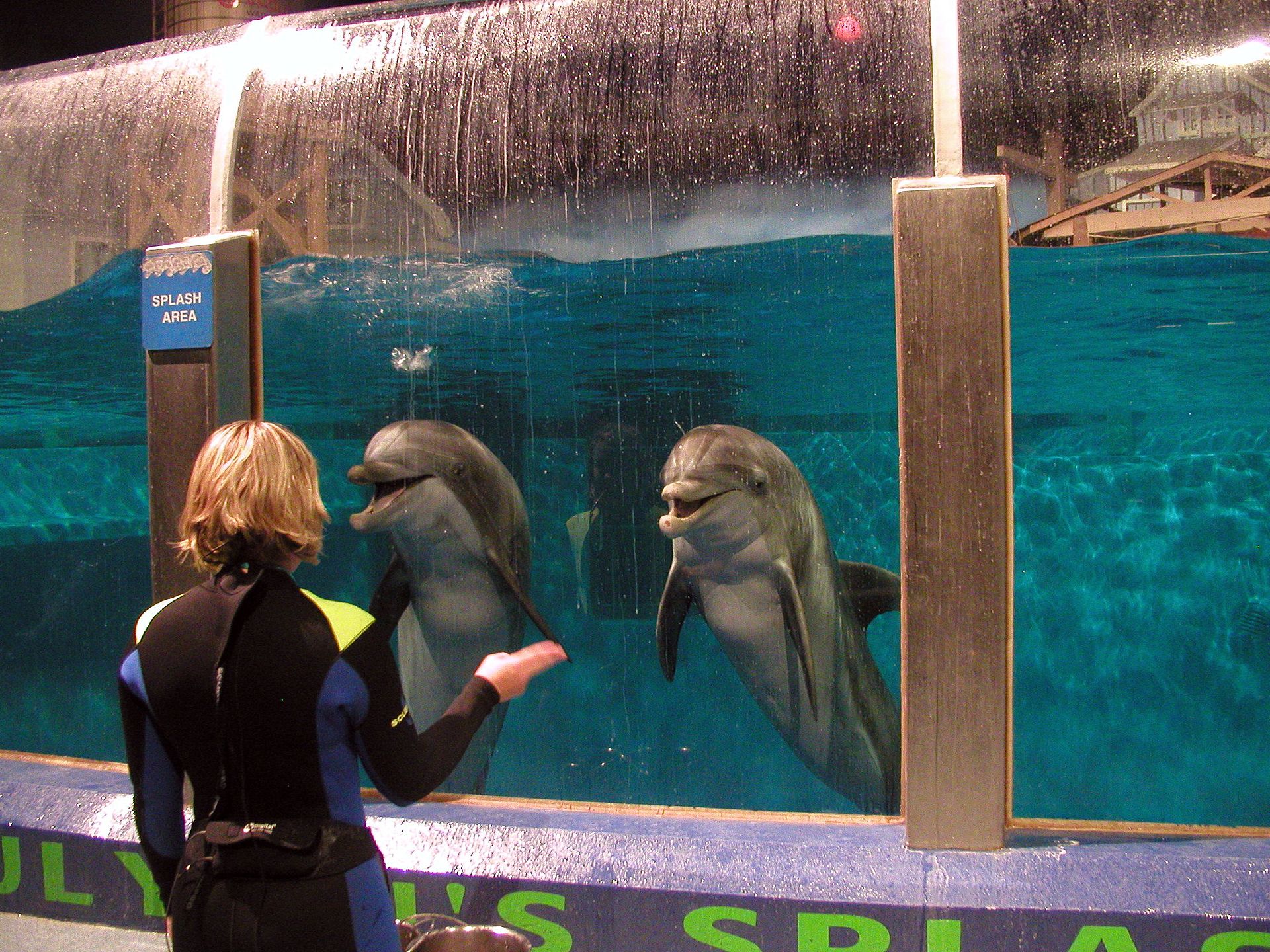 indianapolis zoo dolphin dome