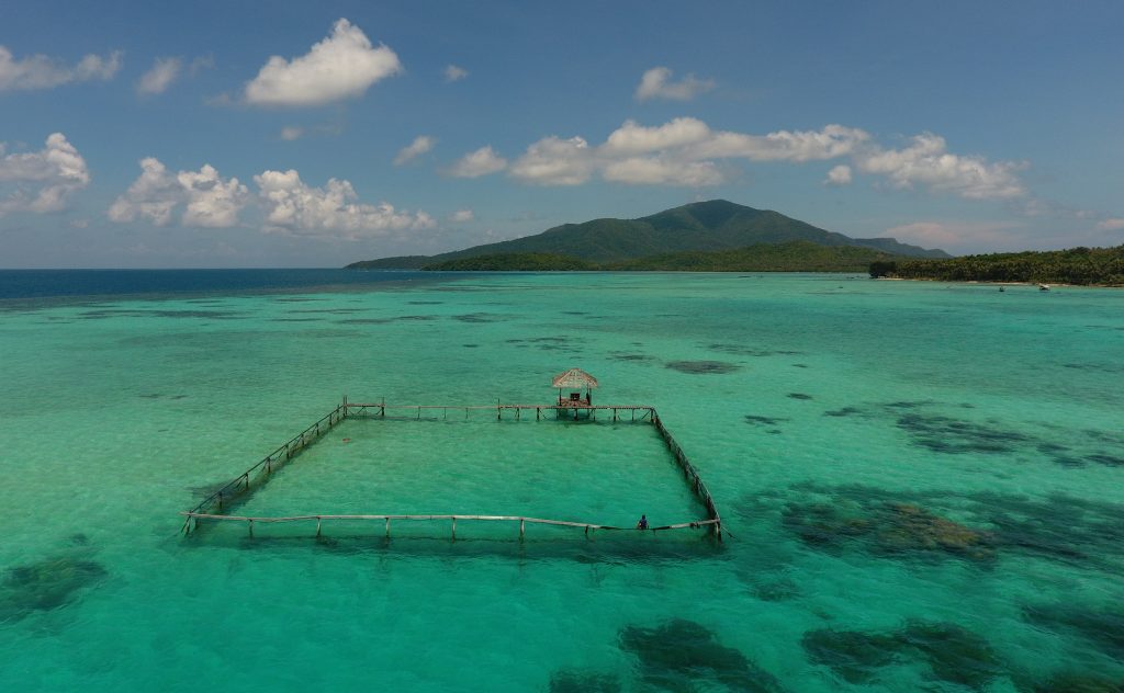 Camp Lumba Lumba Dolphin Rehabilitation Sea Pen