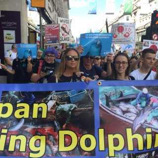 Japan Dolphins Day 2017, London.