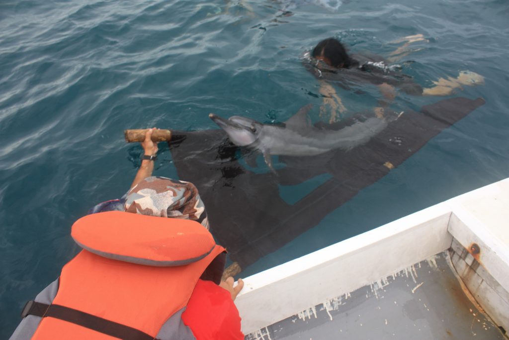 Munjawa takes one last look at our team, seconds before she was successfully released back in her home range.
