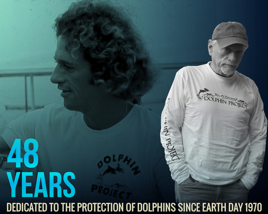 Happy 48th Birthday Dolphin Project