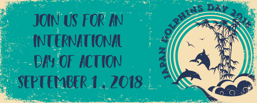 Japan Dolphins Day 2018 Taiji Japan The Cove Dolphin Project
