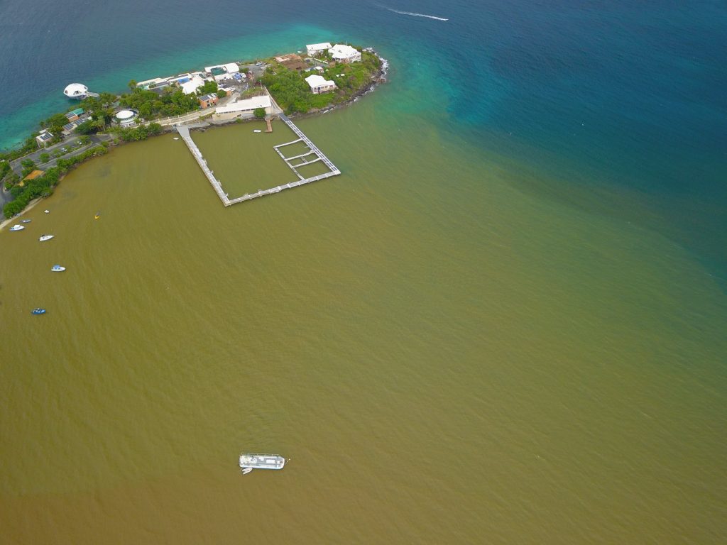 Water quality in captive sea pen
