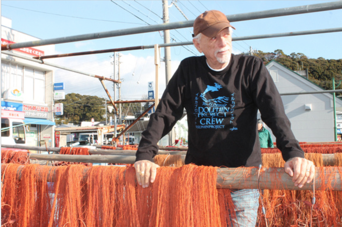 We will keep a light on the annual Taiji dolphin hunts as long as these crimes against nature continue. ~ Ric O'Barry
