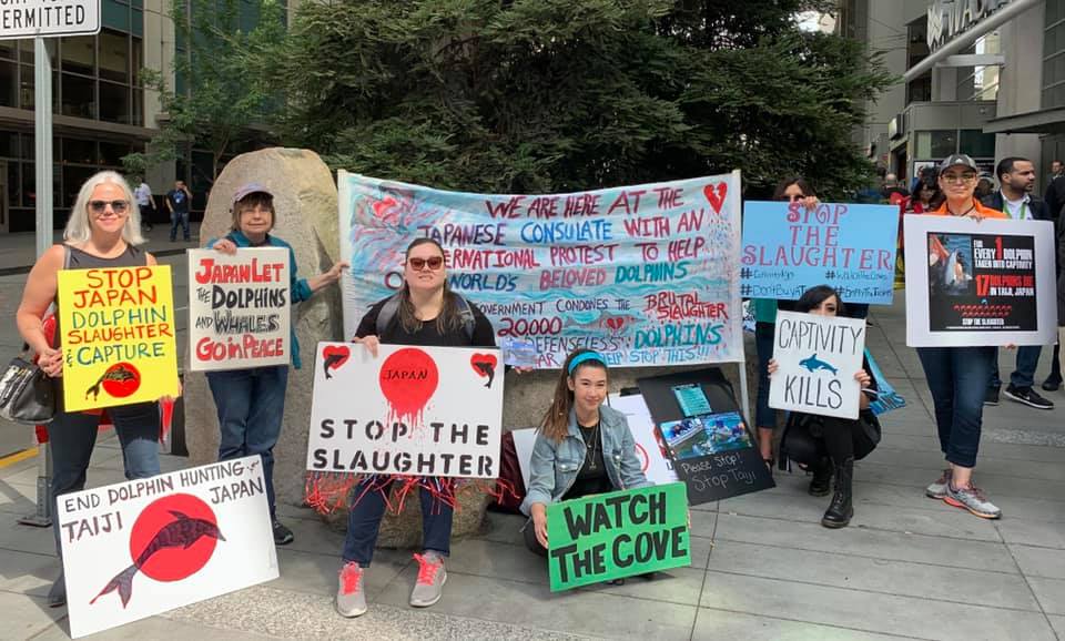 Seattle, USA #JDD19