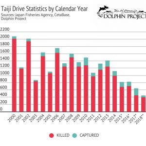 Taiji drive statistics by calendar year