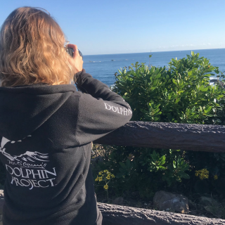Dolphin Project Cove Monitors scan the horizon for hunting boats, Taiji, Japan