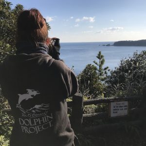 Dolphin Project Cove Monitors scan the horizon for signs of a dolphin drive, Taiji, Japan.