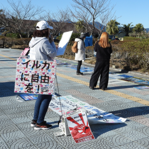 Japanese anti captivity demonstration