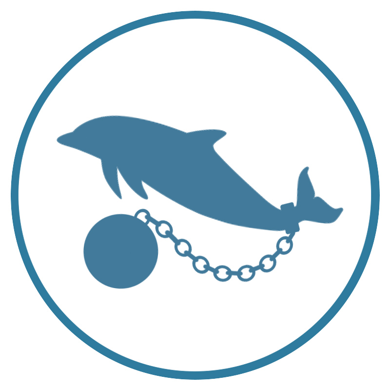 Learn more about dolphin captivity