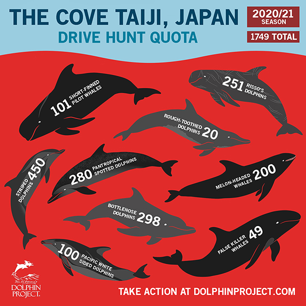 Taiji 2020 21 quota