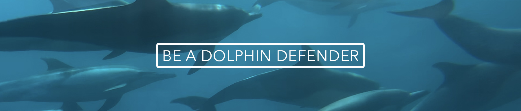 Be A Dolphin Defender Button