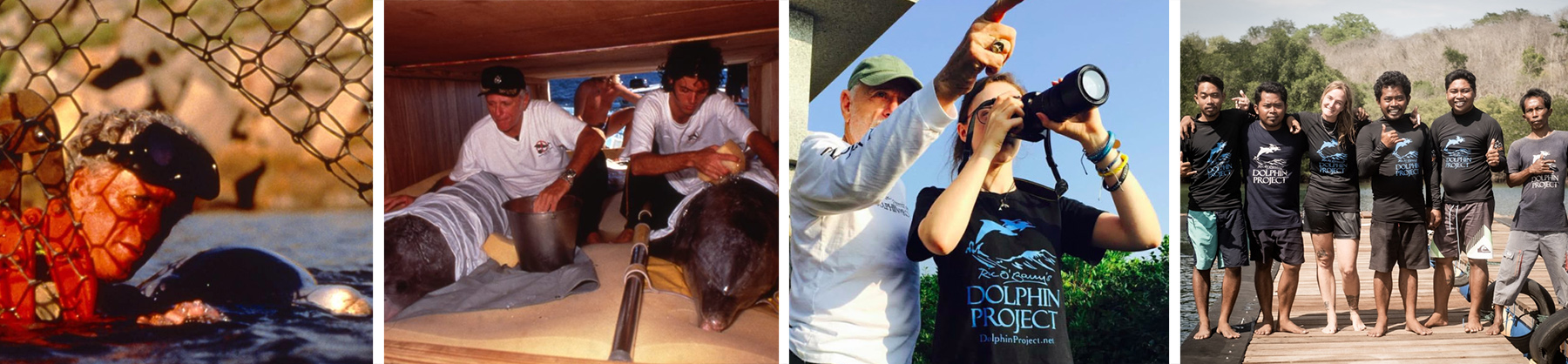 Dolphin Project History Banner