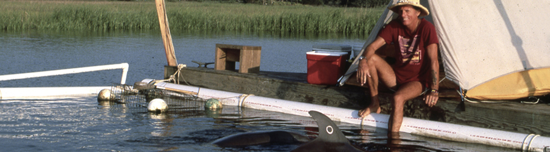 Ric O'Barry's Dolphin Project History
