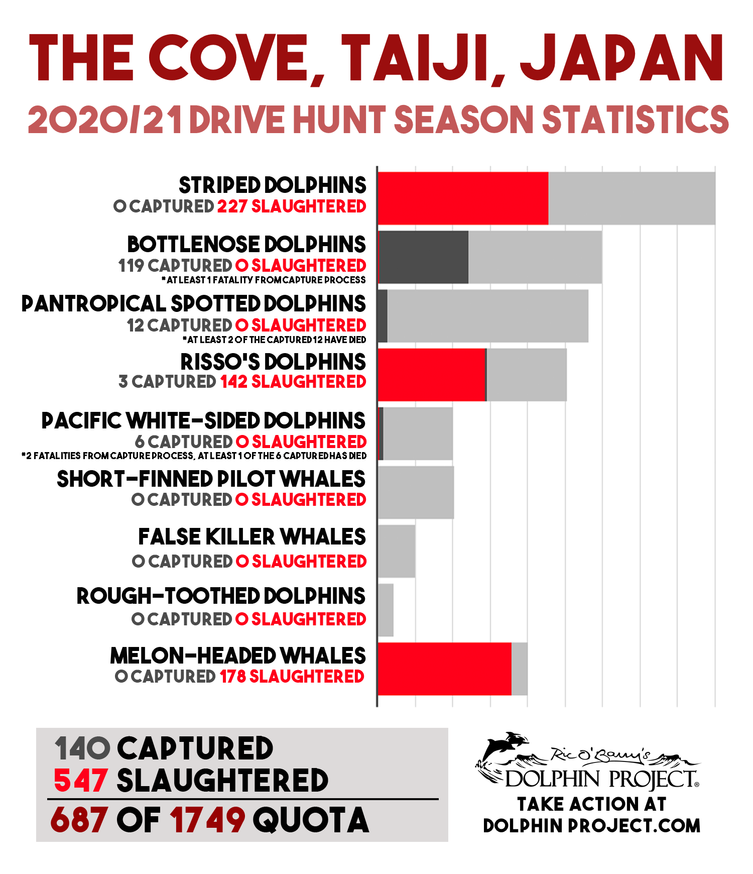 Taiji 2020/21 Drive Season Statistics