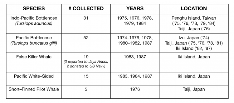 Table showing number of animals sourced from drive fisheries and locations for Ocean Park