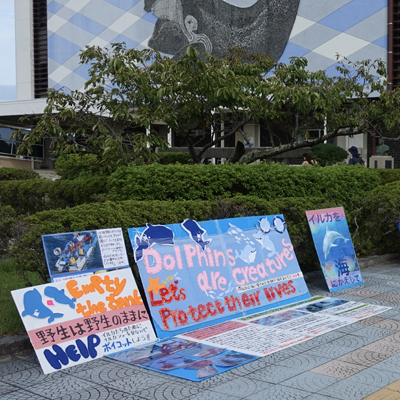 Japan Dolphins Day Taiji Whale Museum