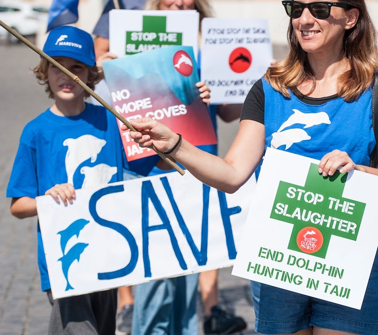 Japan Dolphins Day for Dolphin Defender Month