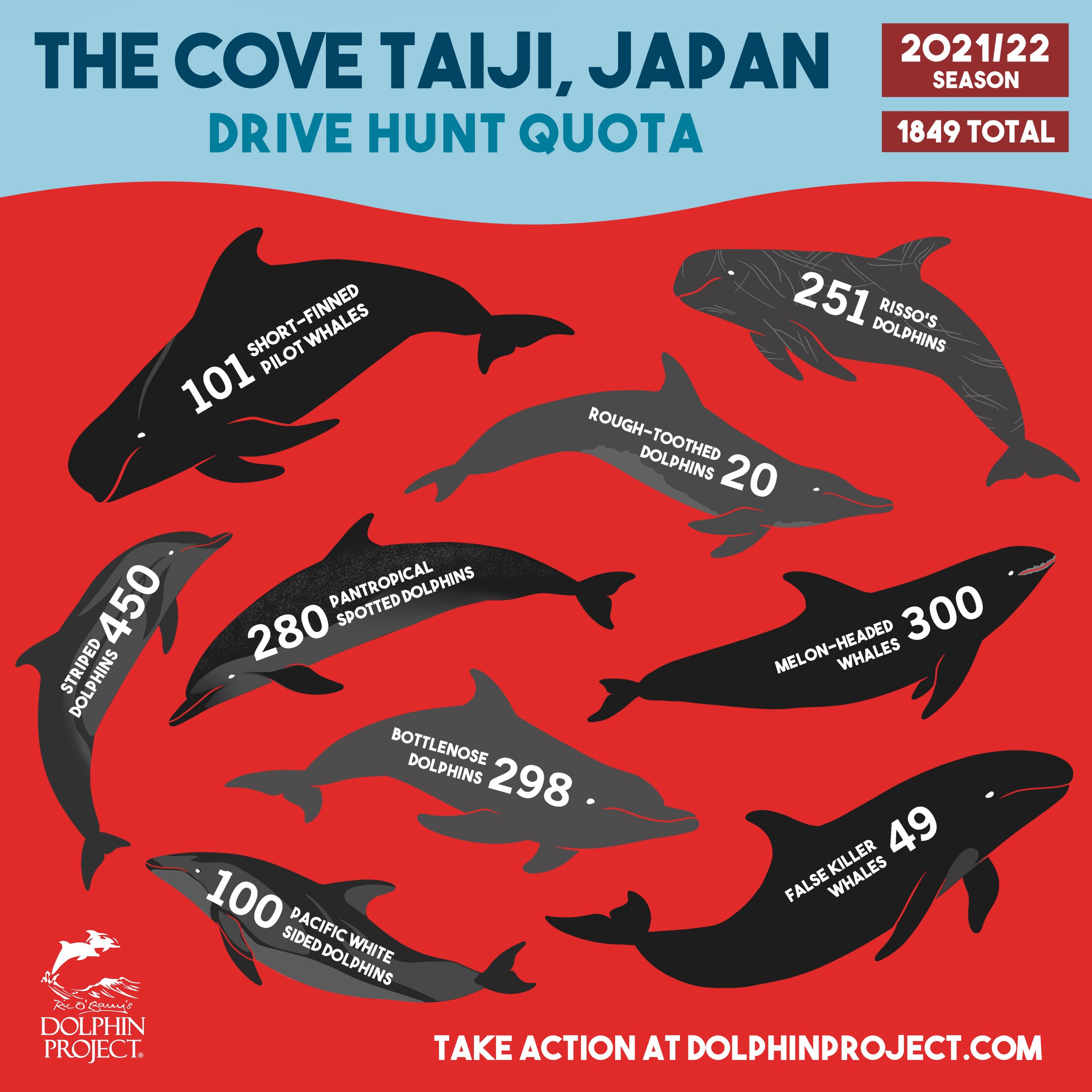 Drive Hunt Quota, Taiji, Japan, 2021/22 Season