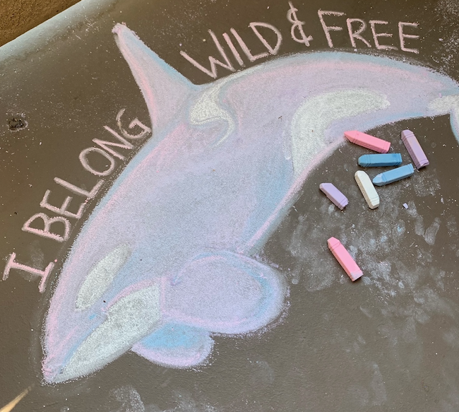 I Belong Wild and Free ~ chalk art by Tracie Sugo