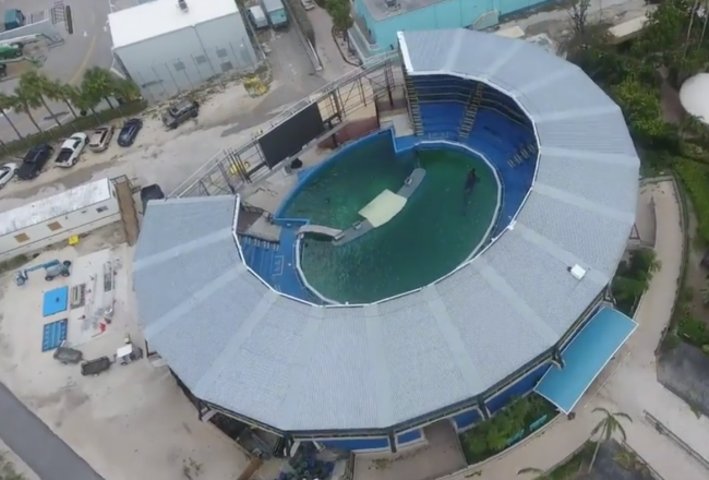 Miami Seaquarium