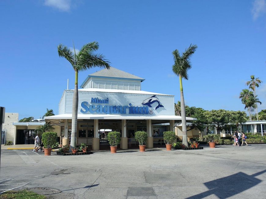 Miami Seaquarium main entrance