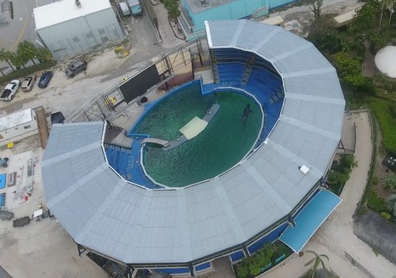 Lolita Miami Seaquarium 9_11_17