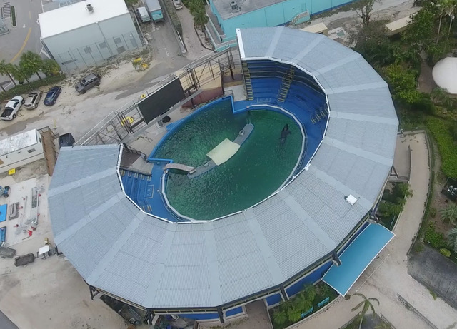 Lolita, Miami Seaquarium