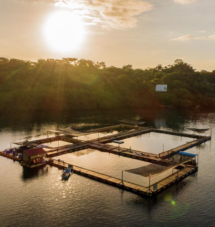 Image of Umah Lumba Center - Dolphin sanctuary