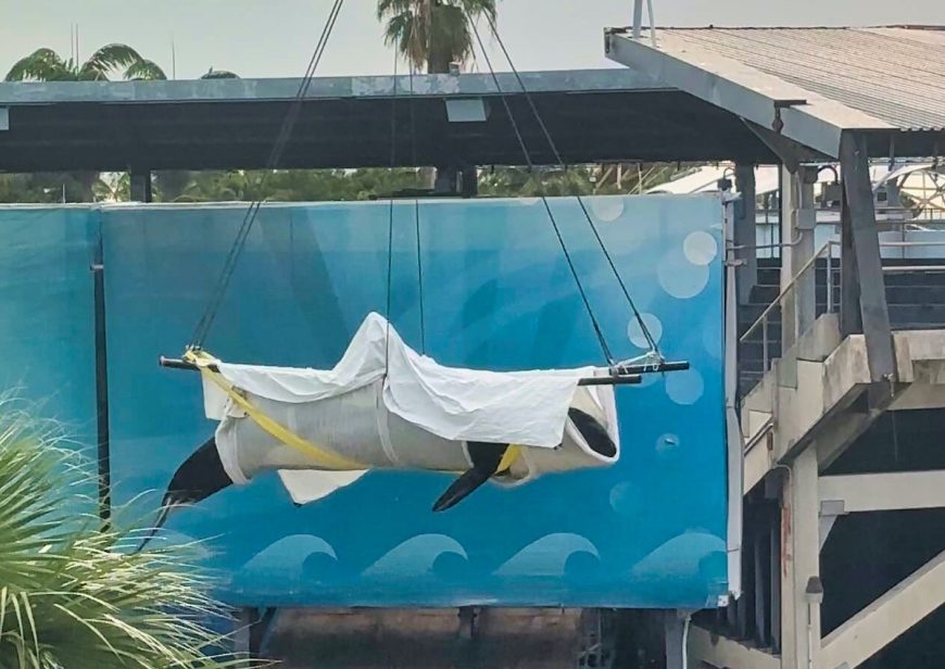 Until Lolita is Home, credit: Claire Beatrix Paris